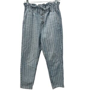 American Eagle Outfitters Blue Striped High Rise Jeans